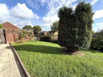 Picture 28